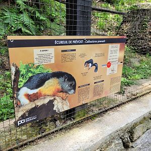 Prevost's squirrel sign -Parc Animalier des Pyrénées (2023)