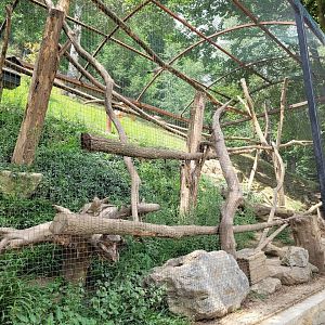 North American red squirrel exhibit -Parc Animalier des Pyrénées (2023)