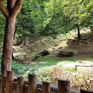 Eurasian wolf exhibit -Parc Animalier des Pyrénées (2023)