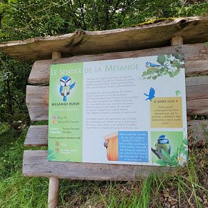 Eurasian blue tit sign -Parc Animalier des Pyrénées (2023)