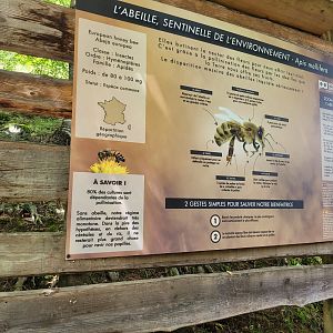 European honey bee sign -Parc Animalier des Pyrénées (2023)