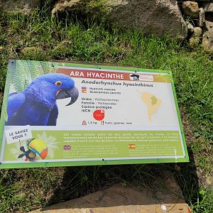 Hyacinth macaw sign -Parc Animalier des Pyrénées (2023)