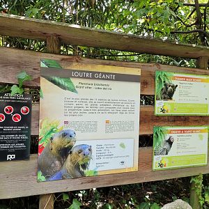Giant otter, Red-handed tamarin and Common marmoset signae -Parc Animalier des Pyrénées (2023)