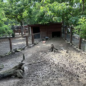 Gyöngyös zoo