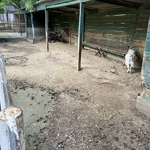 Gyöngyös zoo