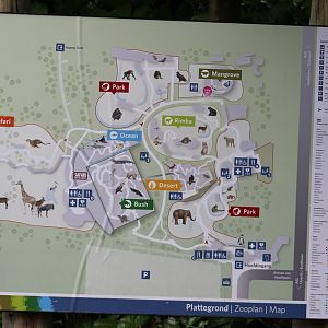 Plan Burgers Zoo 2022