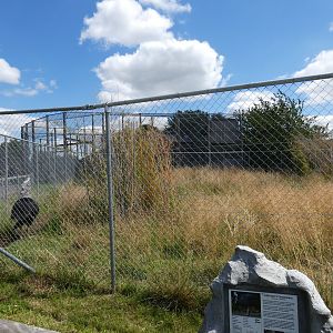 Johnstone's cassowary enclosure