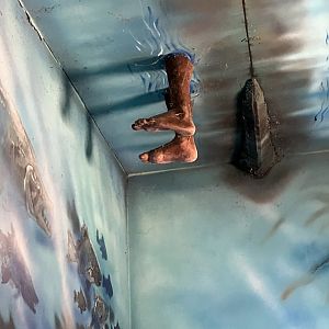 Interesting decoration in the crocodile house