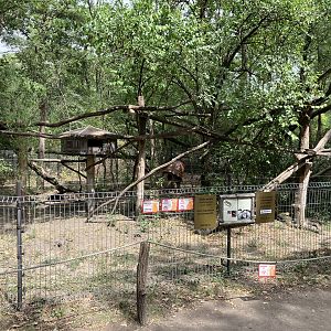 Red panda enclosure
