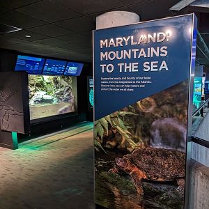 Maryland: Mountains to the Sea