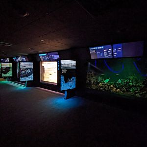 Maryland: Mountains to the Sea