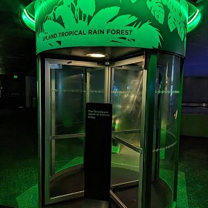 Upland Tropical Rainforest Entrance