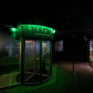 Upland Tropical Rainforest Entrance