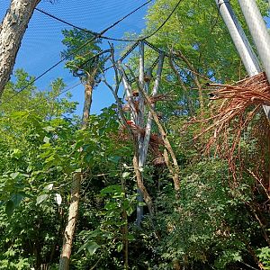 Walkthrough Aviary (Exotarium)