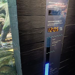 Water Level Display in the Mangrove Paludarium (Exotarium)