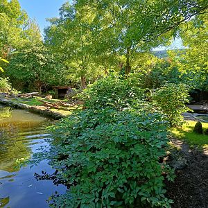 Pantanal Enclosure.