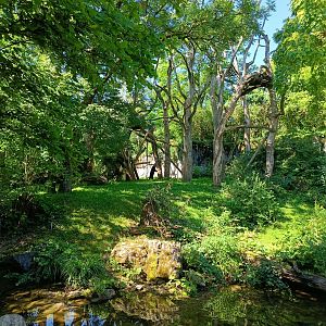 Spectacled Bear and South American Coati enclosure