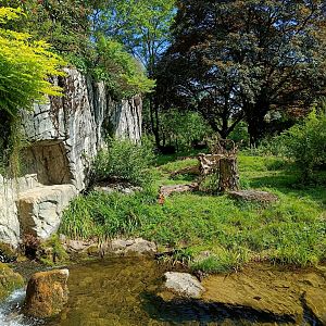 Spectacled Bear and South American Coati enclosure