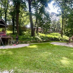 Dromedary Camel Rides