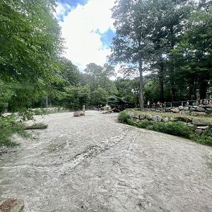 White Rhinoceros Exhibit