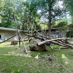 Mandrill Exhibit Upkeep