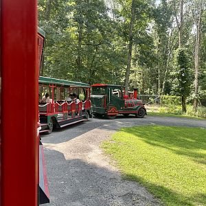 Train through undeveloped forest and Elk Exhibit