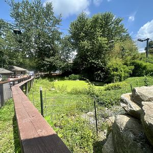 American Alligator Exhibit