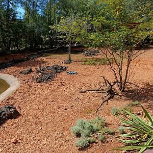 Australia Walkthrough and Emu eggs