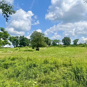 African Plains Exhibit