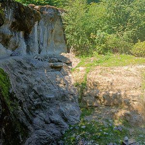 Snow Leopard enclosure