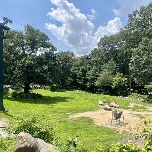 Bactrian Camel Exhibit