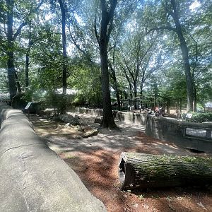 Patagonian Mara Exhibit