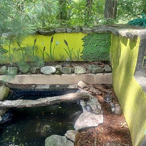 Pond and Box Turtle Exhibit