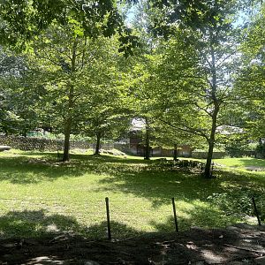 Capybara and Lowland Tapir Exhibit