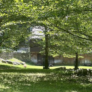 Capybara and Lowland Tapir Exhibit