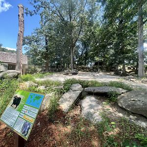 Domestic Yak Exhibit