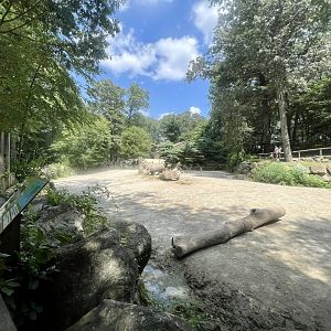 White Rhinoceros Exhibit
