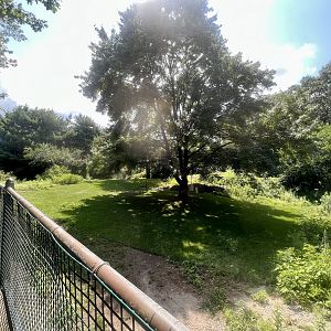 Red Kangaroo Exhibit