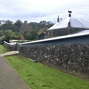Auckland Zoo - View from Old Mill Road