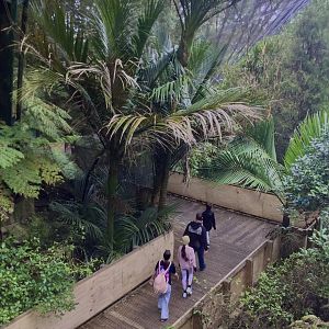 New Zealand Freeflight Aviary
