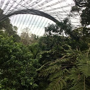 New Zealand Freeflight Aviary