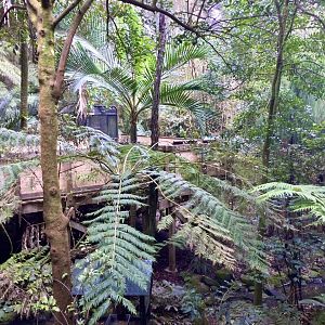 New Zealand Freeflight Aviary
