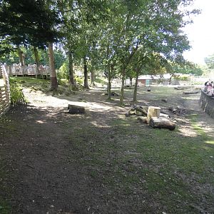 Brazilian tapir and capybara enclosure