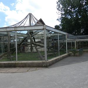 King colobus enclosure
