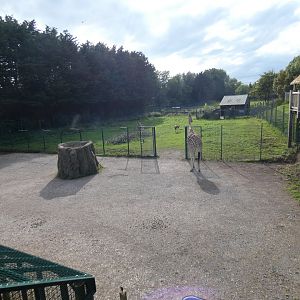 Giraffe and Blesbok enclosure