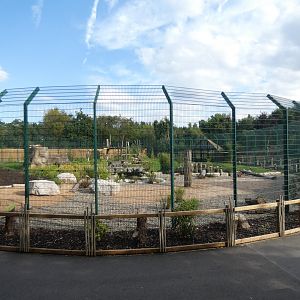 Lion enclosure