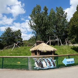 North American tree porcupine enclosure