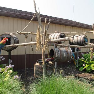 Macaw Exhibit