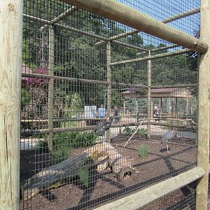 Marabou Stork Aviary