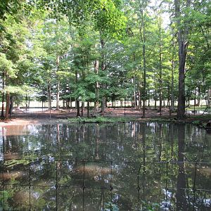Panorama of Three Exhibits